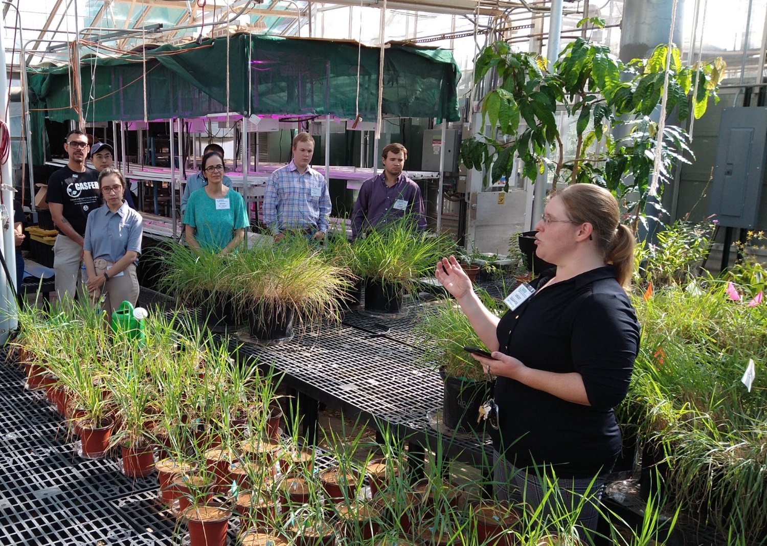 Researchers from CASFER give a tour of the TTU Greenhouse