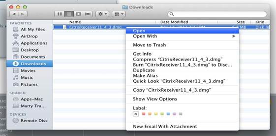 Open the downloaded file