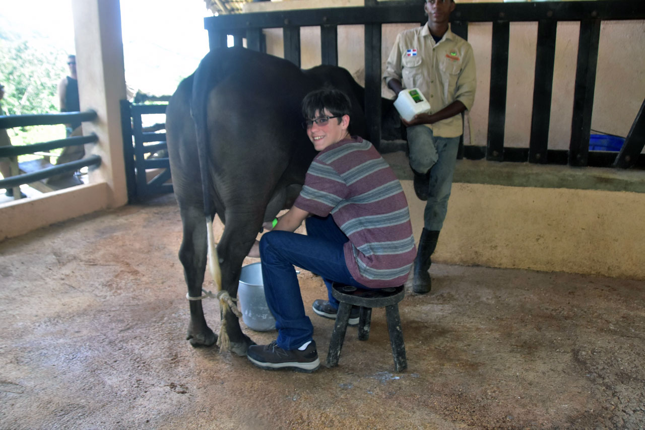 Wesley milking a cow at La Hacienda Park, Dominican Republic.