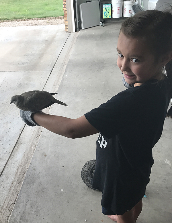 Logen Lee stands inside an open garage and wearing a long black shirt and holding her arm out as a pidgeon sits on her hand.