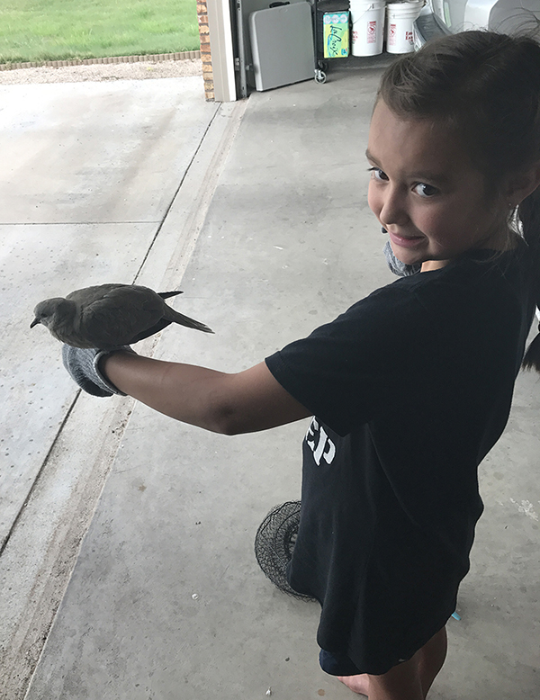 Logen with a wounded pigeon she found, caught, cared for, and released when healthy. Logen Lee stands inside an open garage and wearing a long black shirt and holding her arm out as a pidgeon sits on her hand.
