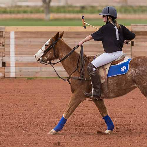 Stick-and-ball is individual practice in the saddle to build up essential skills and style. A young girl wearing a polo hat, glasses, a black jersey, and other horse riding gear sits upright on the back of a brown horse with white spots