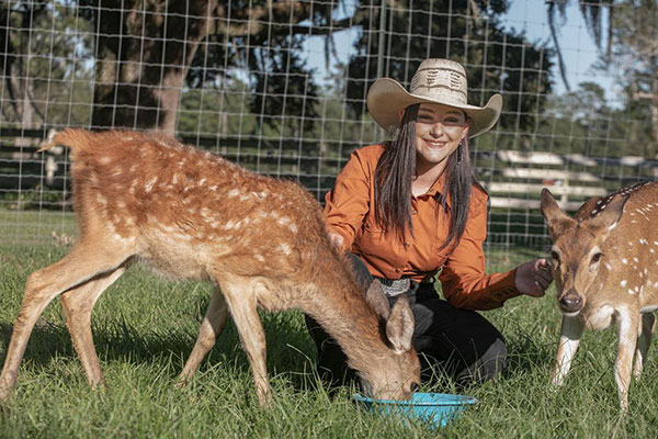 Gracelann with her red deer Lilly and her axis Faline. Gracelann with her red deer Lilly and her axis Faline.