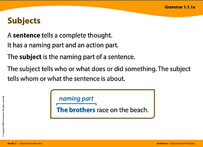 Grammar card titled Subjects. A sentence tells a complete thought. It has a naming part and an action part. The subject is the naming part of a sentence. The subject tells who or what does or did something. The subject tells whom or what the sentence is about. Example sentence: The brothers race on the beach; the naming part is The brothers.