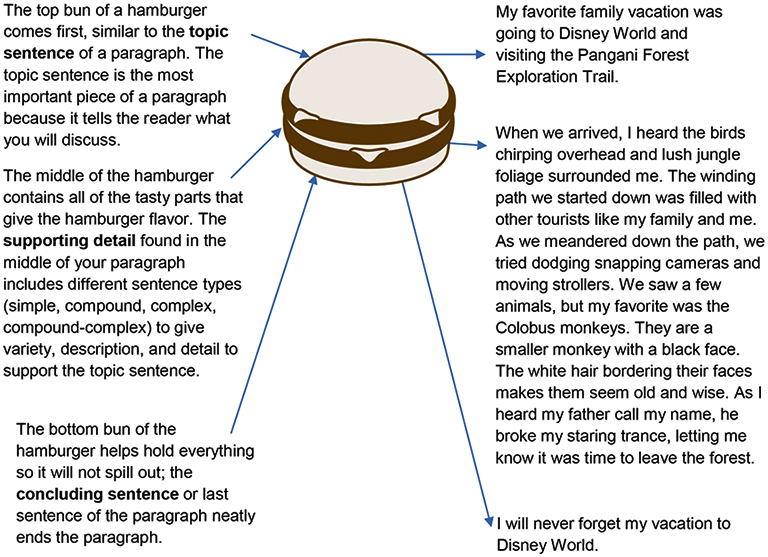 hamburger paragraph illustration