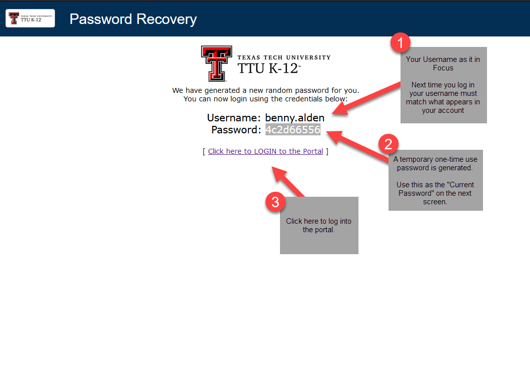 new Password Recovery page highlighting EXAMPLE new temporary password.