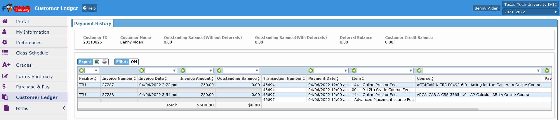 Focus Customer Ledger Screen