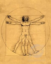 Vitruvian Man