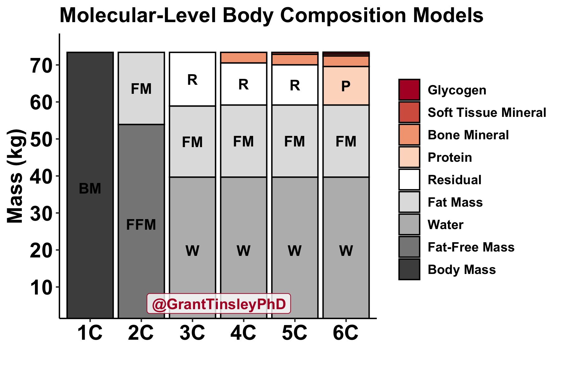 Grant Tinsley - Multi-Compartment Model