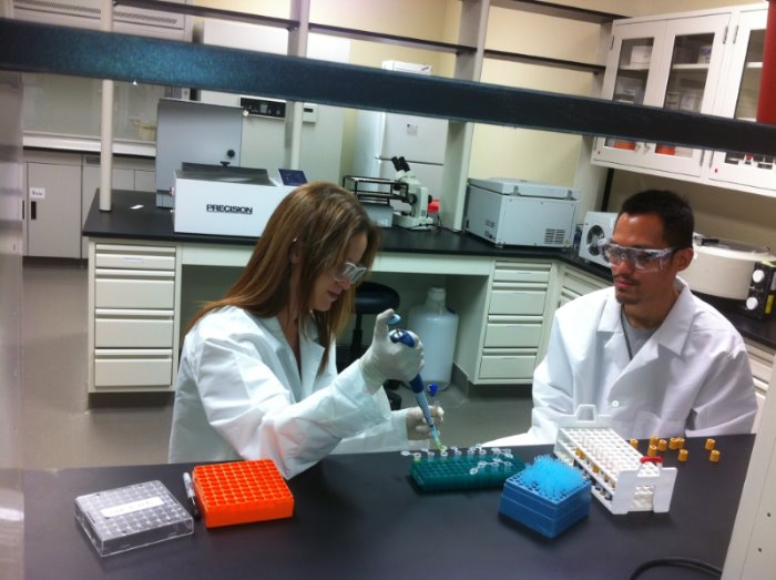 Biochemistry Laboratory | Research Laboratories | Kinesiology & Sport  Management | TTU