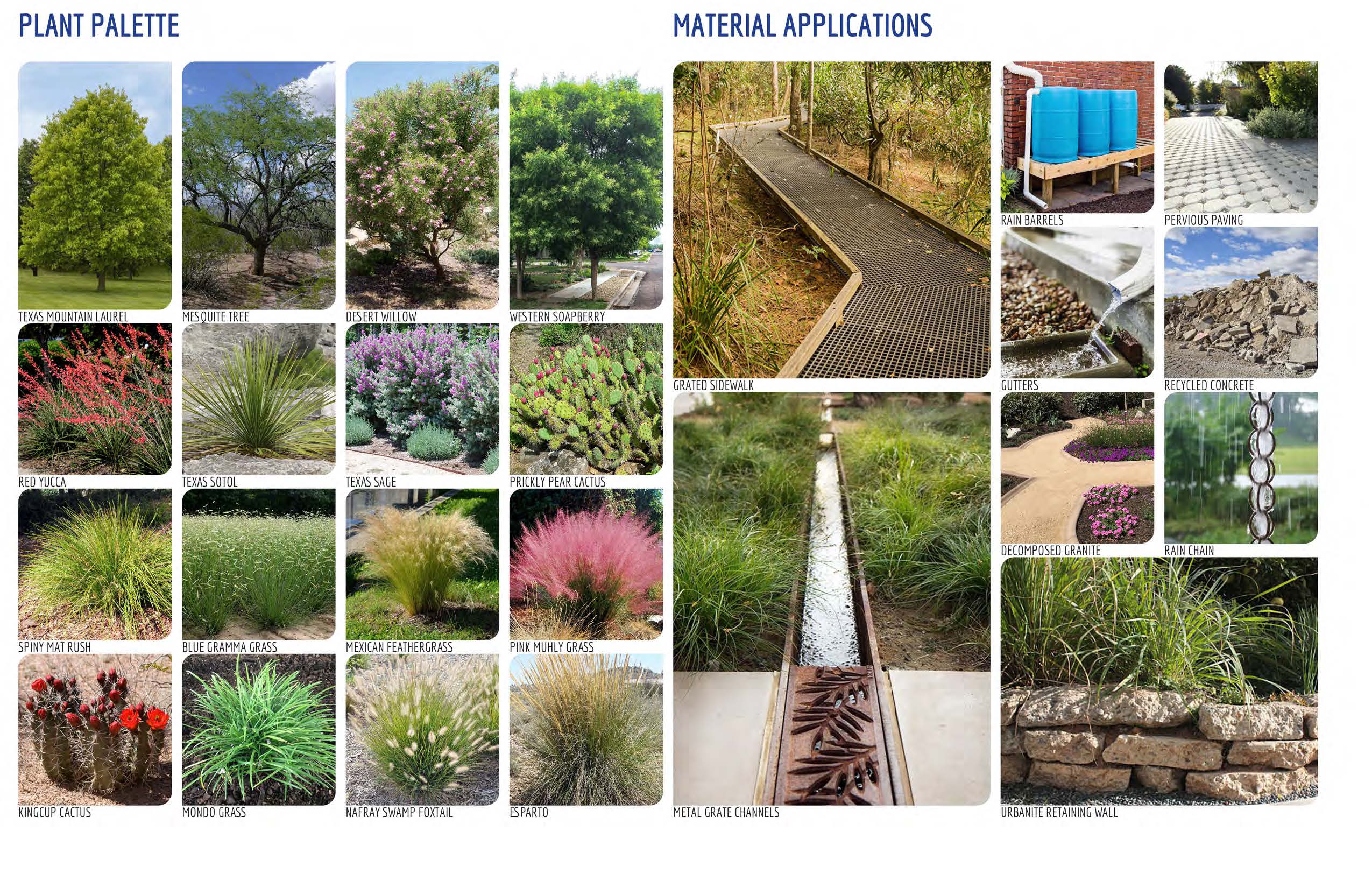 DoLA Texas ASLA Merit Award 2024 Team Image 2
