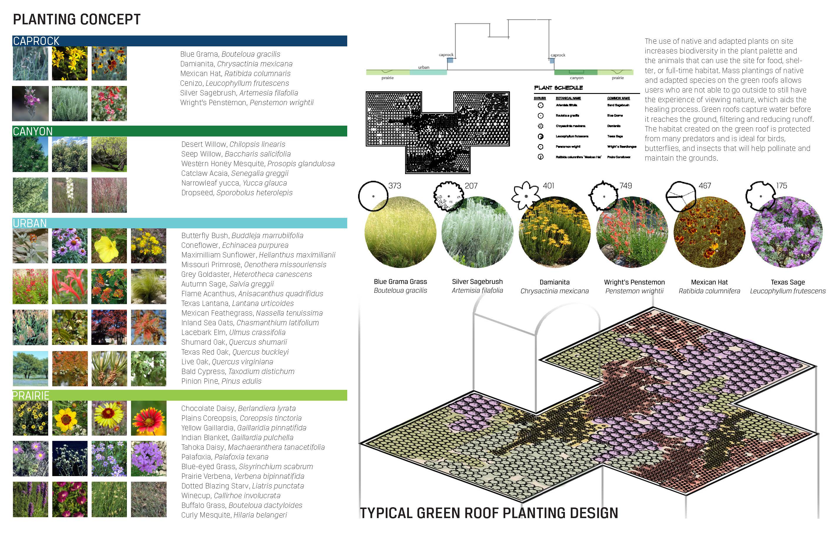 DoLA Texas ASLA Merit Award 2020 Leah Nega Image 7