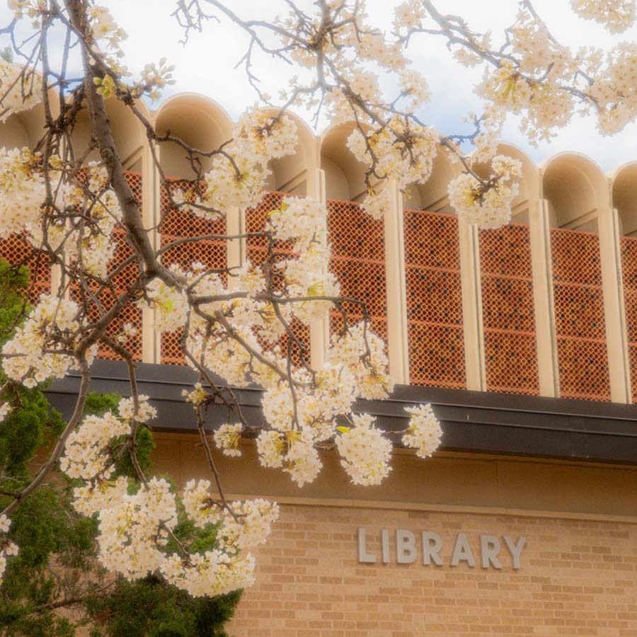 <br /><strong>Faculty Promotions:</strong><p>Four librarians earn honors</p>