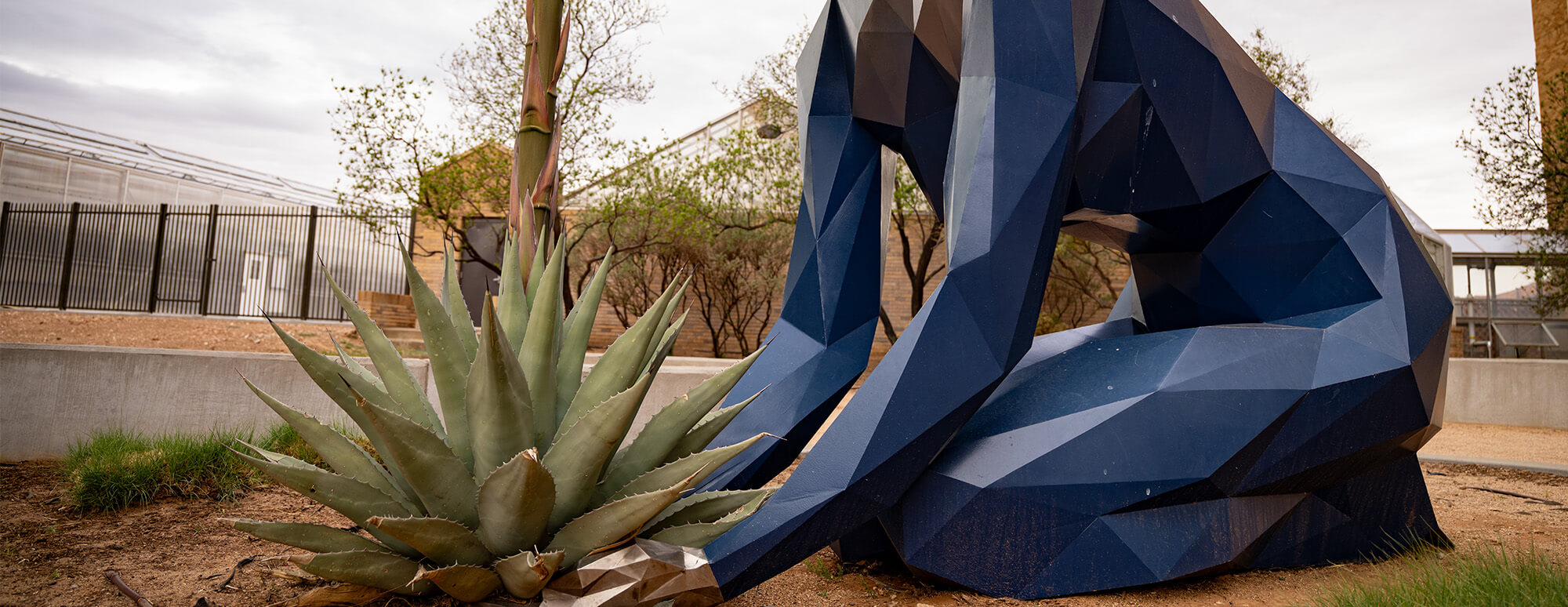 Blue female kneeing down with a cactus statue near the Biology Building