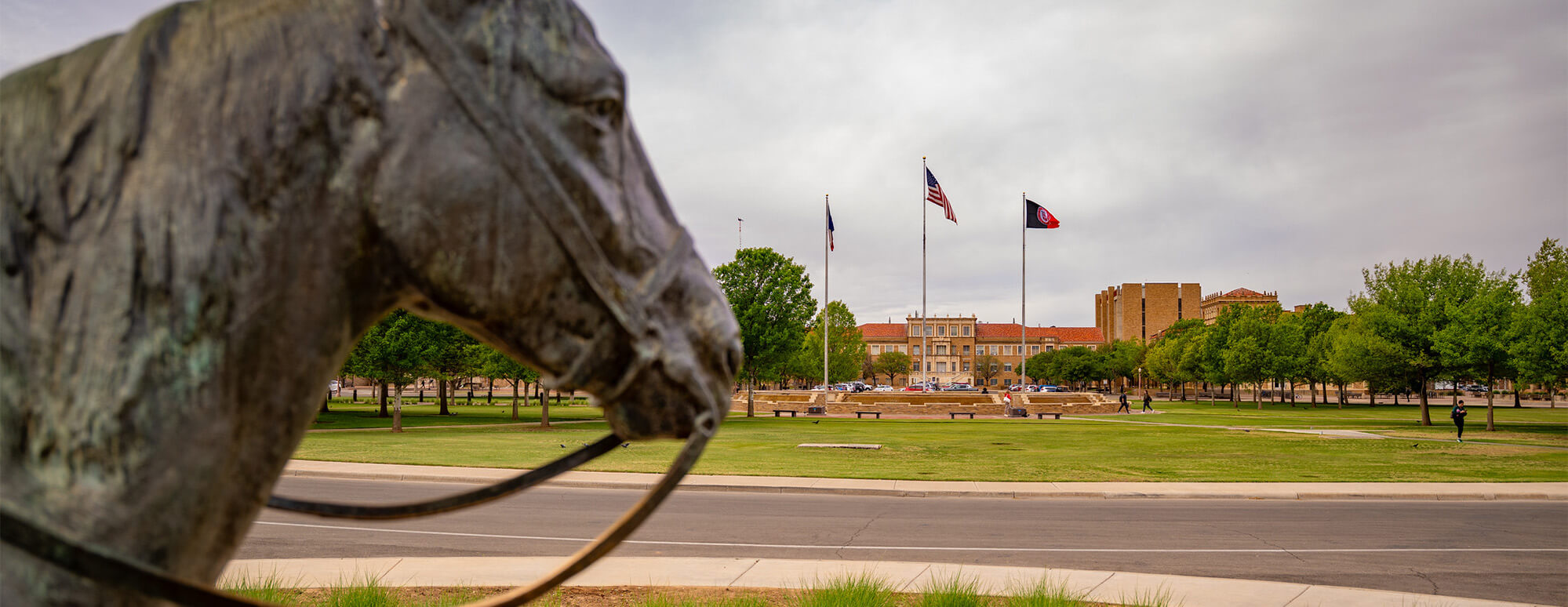 Soapsuds looking at Memorial Circle on a cloudy day