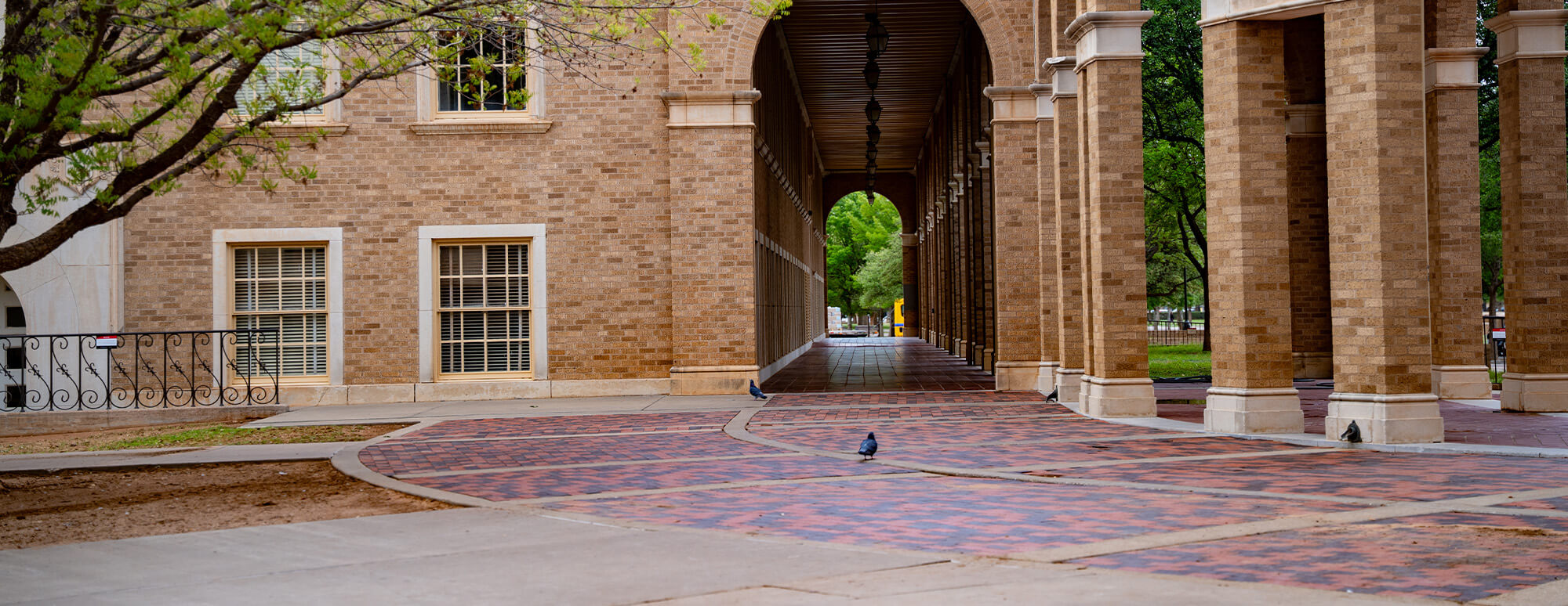 Department Mathematics and Statistics arch walkway in front of the building