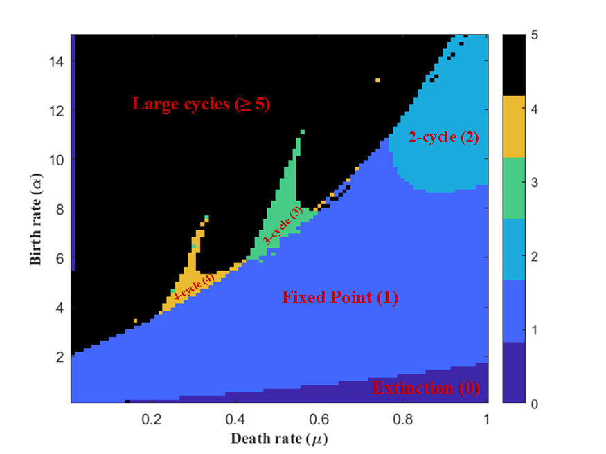 Mathematical model plot showing birth rate, death rate, extinction, fixed point, two-cycle, and large cycle regions