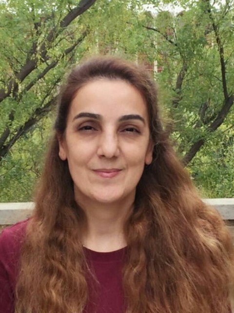 Sima Siami-Namini