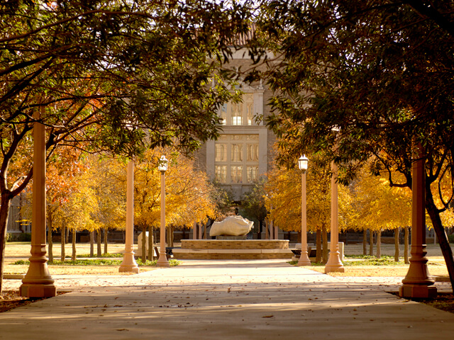 yellow fall leaves surround the Hands fountain-statuary