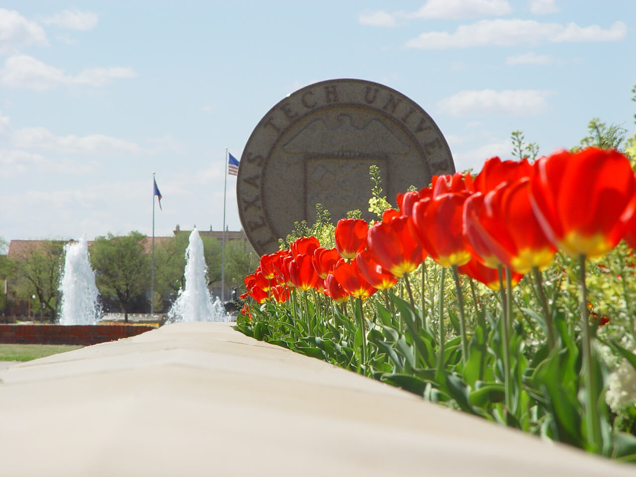 Blooming tulips at the Broadway entrance of campus with the Texas Tech seal in the background