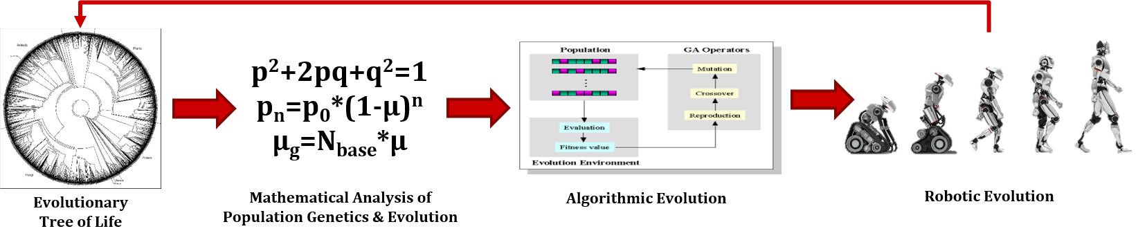 Methodology