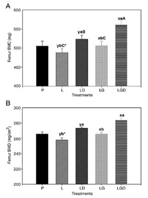 BMC and BMD data of femur of female rats