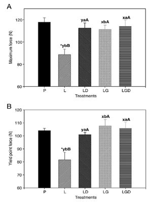 Bone Strength Measurement by Three-Point Bending Test