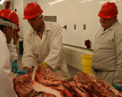 derington and mehaffey