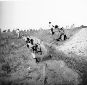 1939 excavation