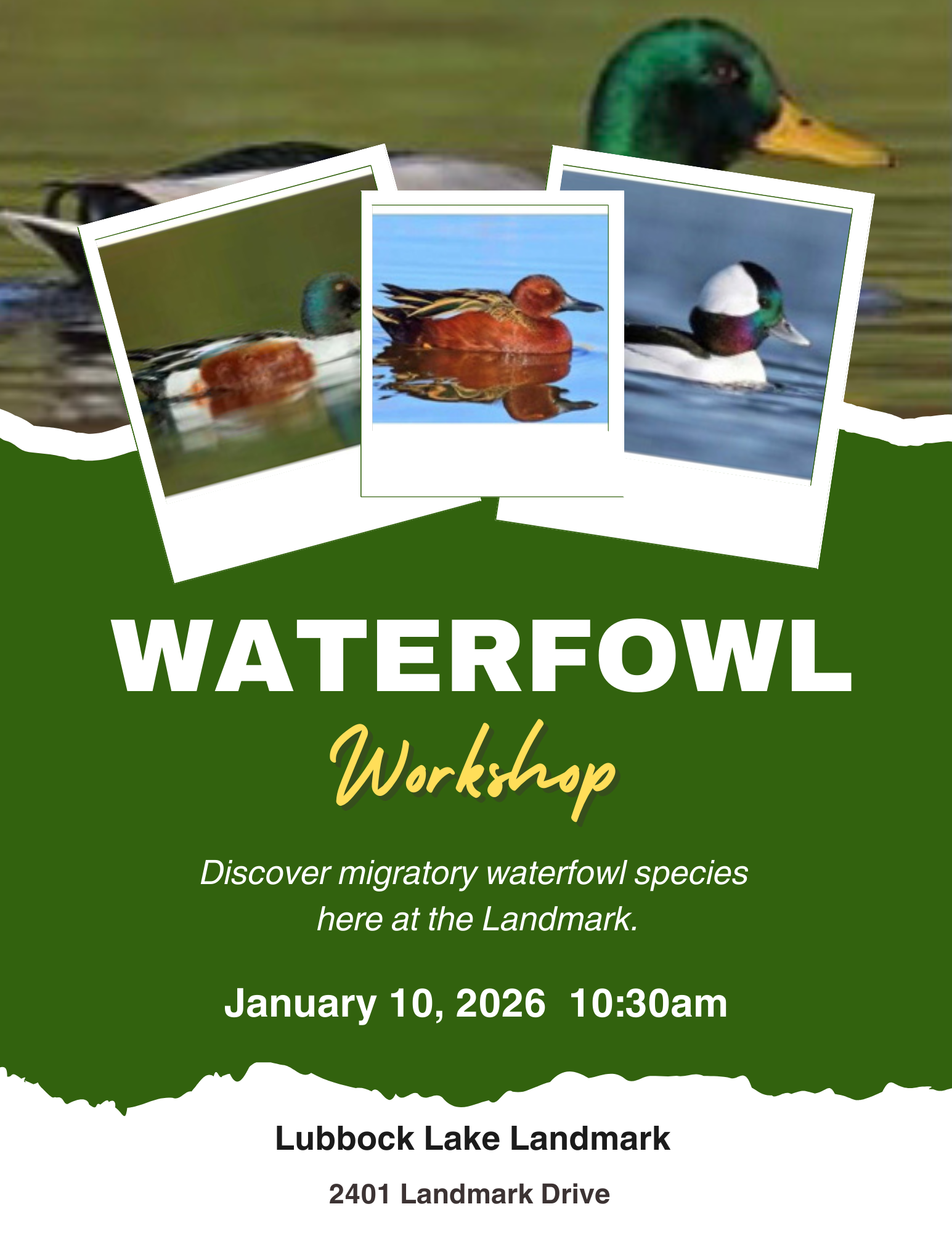 waterfowl-workshop