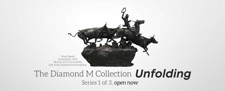 Diamond M Collection Unfolding Series 1 of 3
