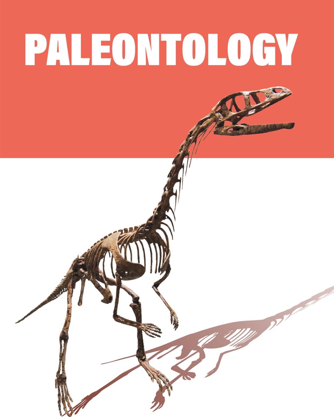 Paleontology