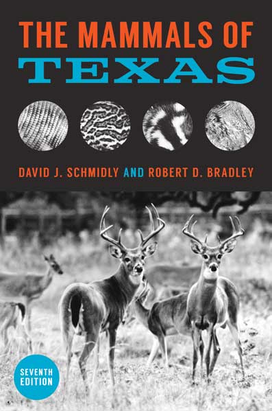 mammals of texas