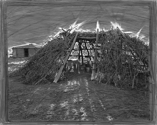 Shade House Full of Light