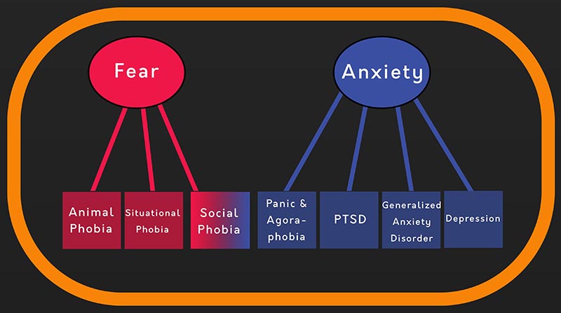 fear anxiety chart