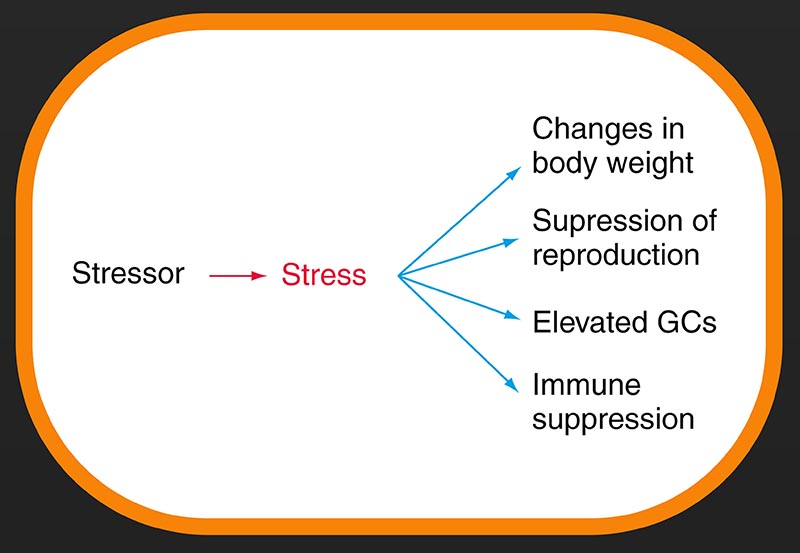 fear - long term stress chart 2