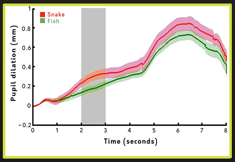 fear - afraid of snakes at birth