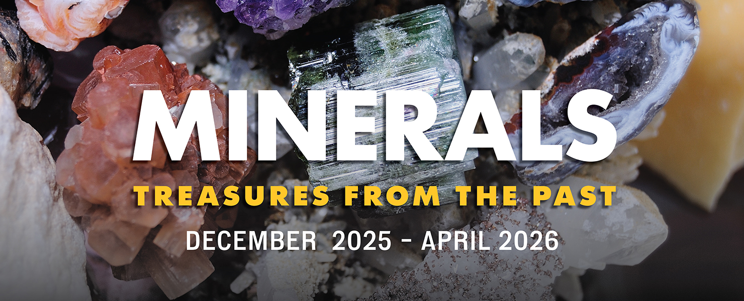 Minerals: Treasures of the Earth