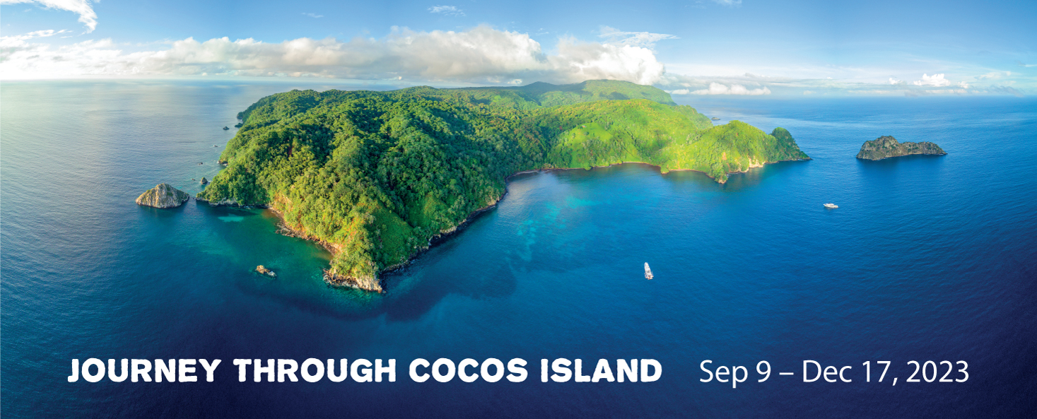 Cocos Island photo by FrankBaensch