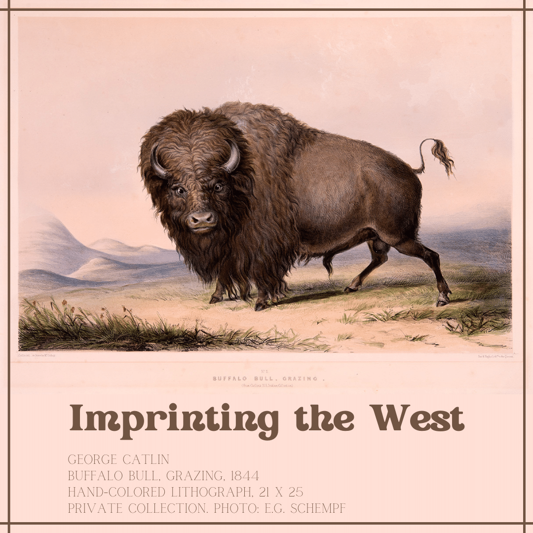 Imprinting the West