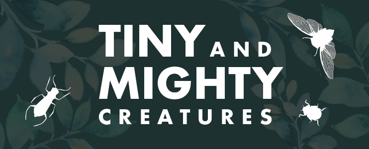 Tiny & Mighty Creatures