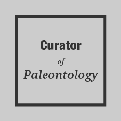 Curator of Paleontology