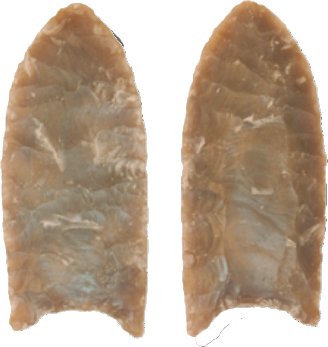 Folsom Point made of Edwards Formation chert