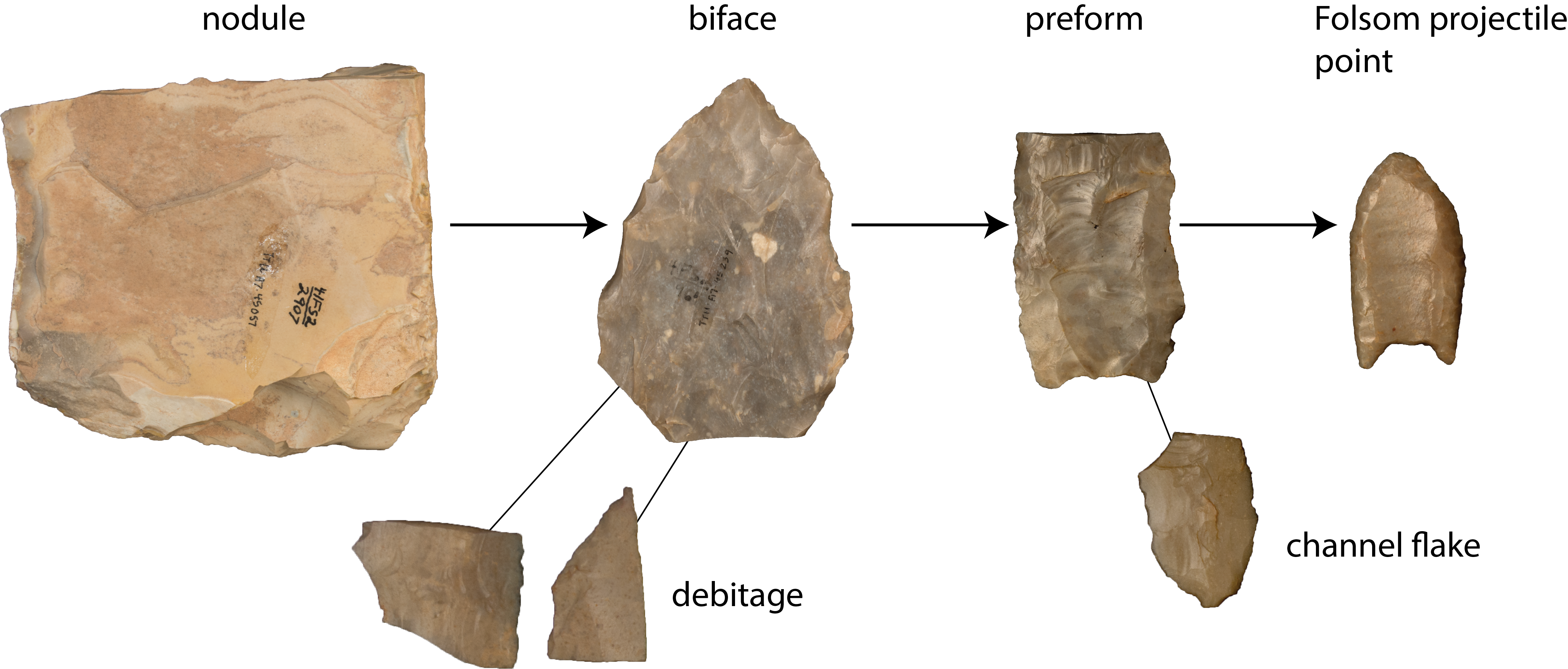 sequence of flintknapping a projectile point
