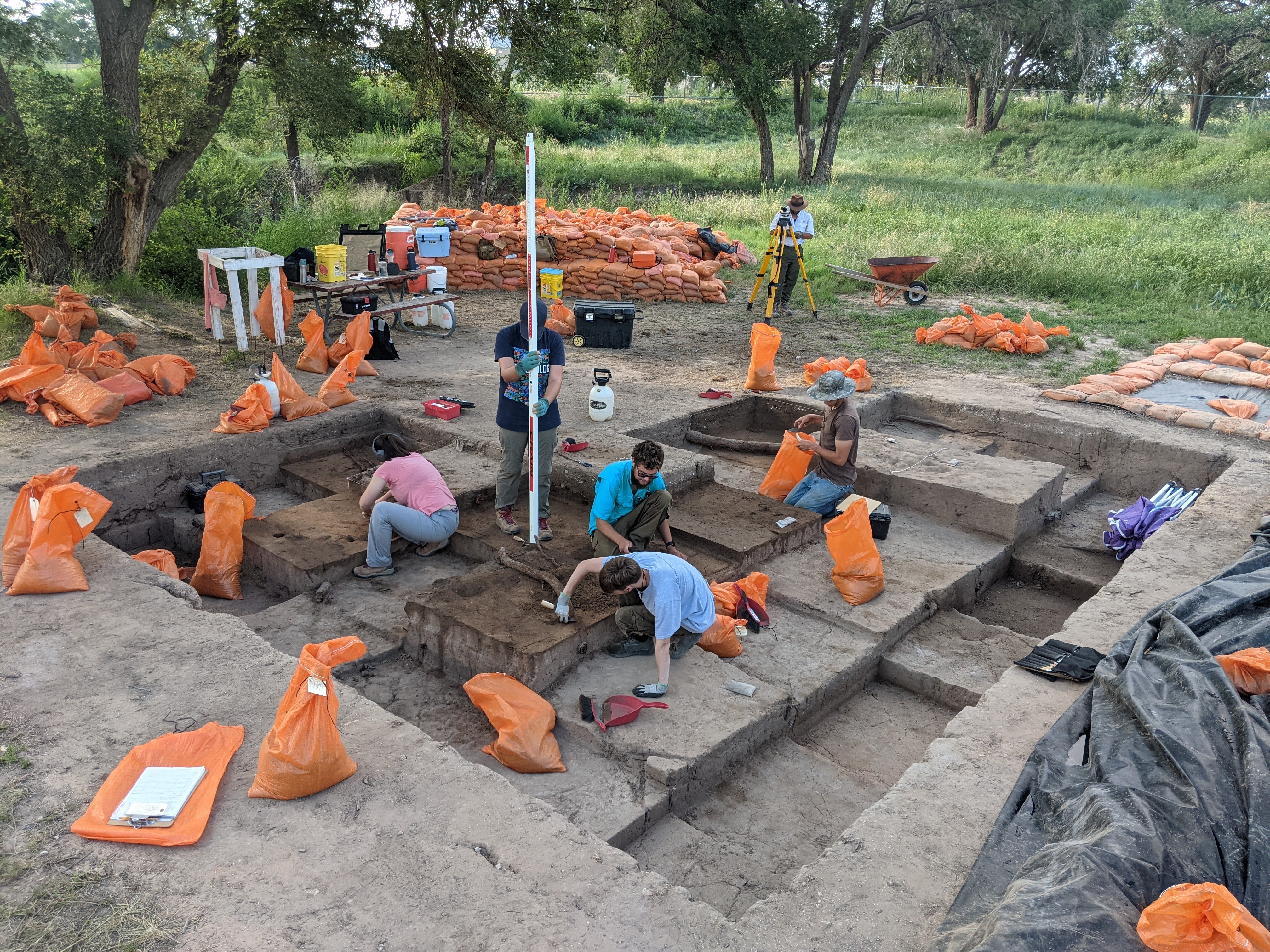 exposed bones in an excavation unit