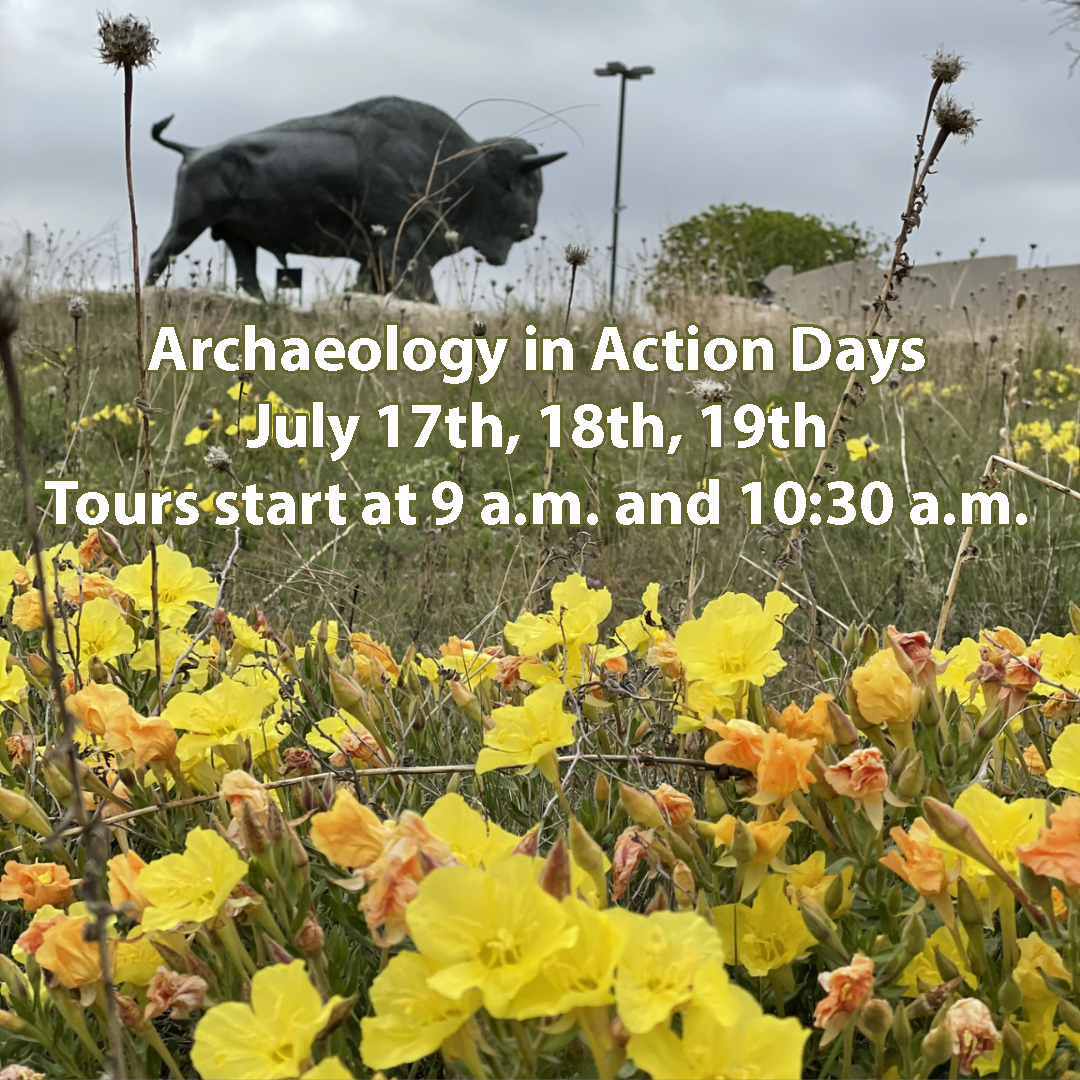 archaeology-in-action-2025