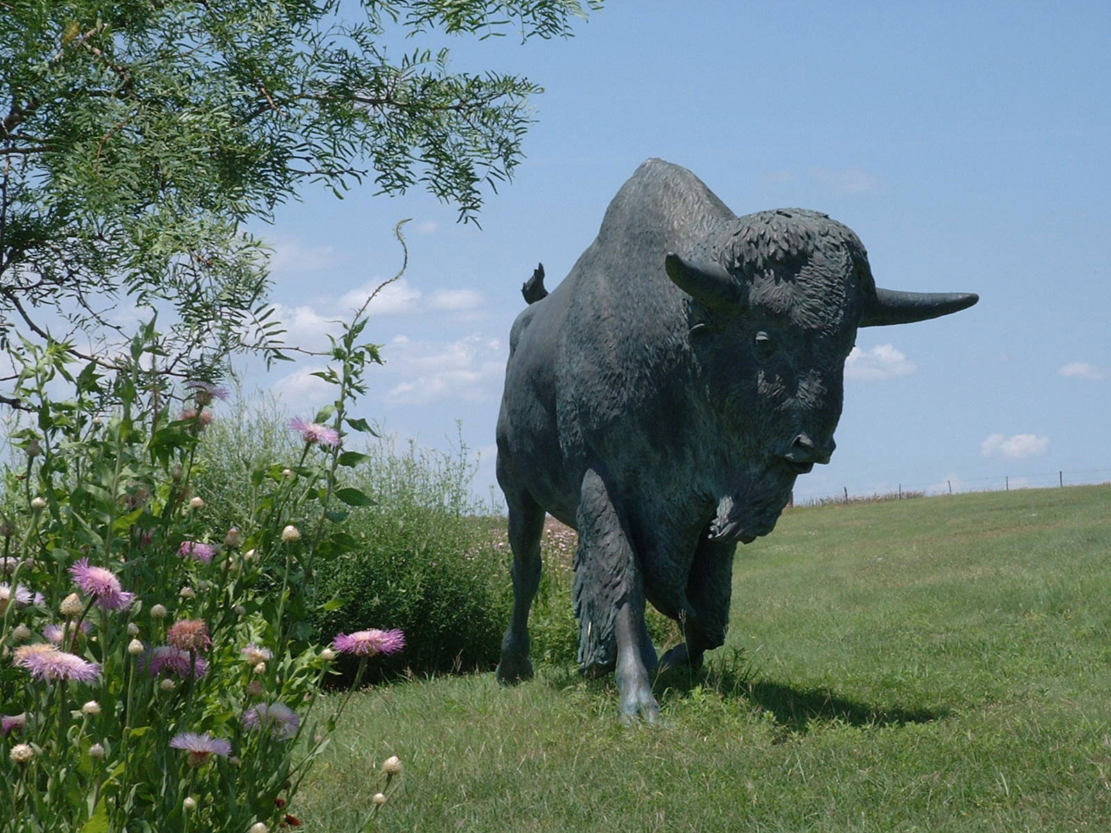 Bison sculpture with flowers