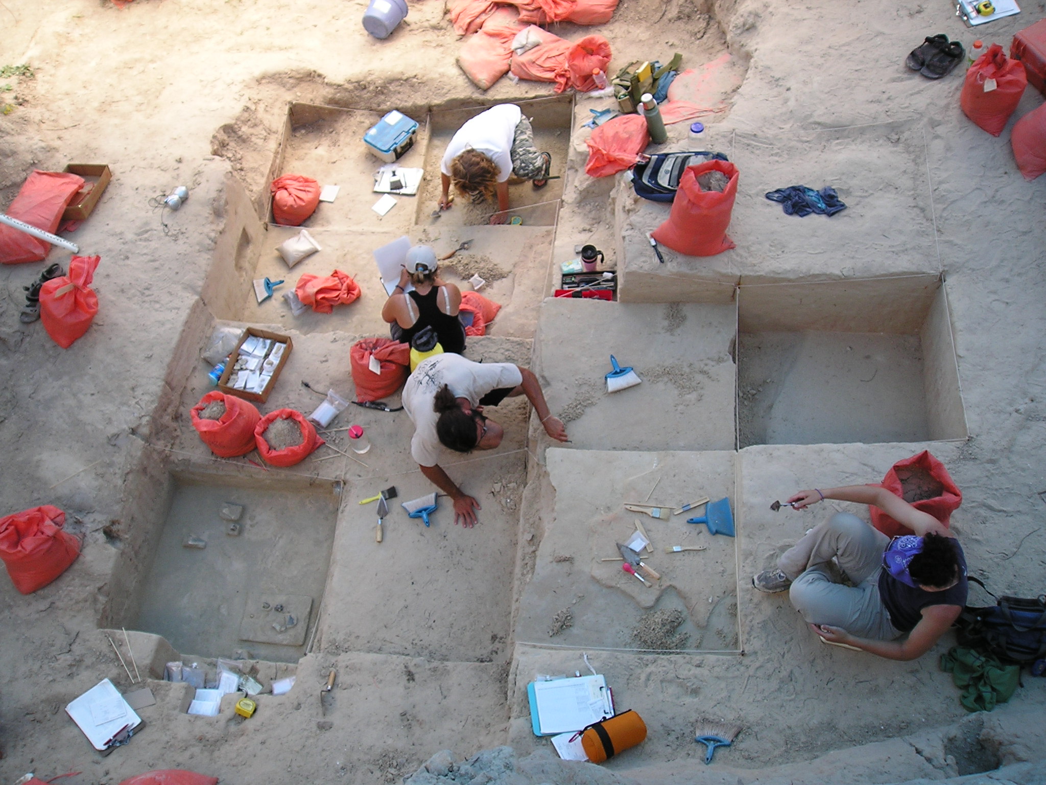 Overhead view of excavation units