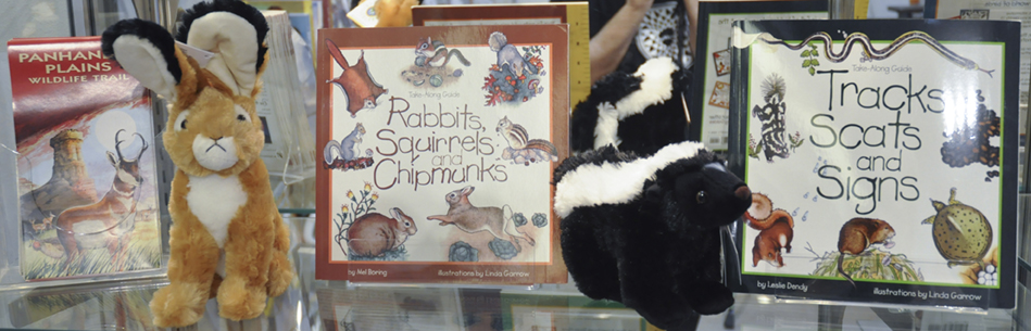 Children's books and plush animals at the Landmark Store
