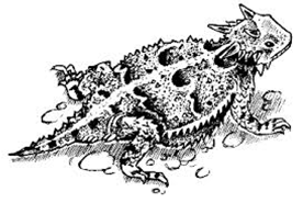 THL drawing